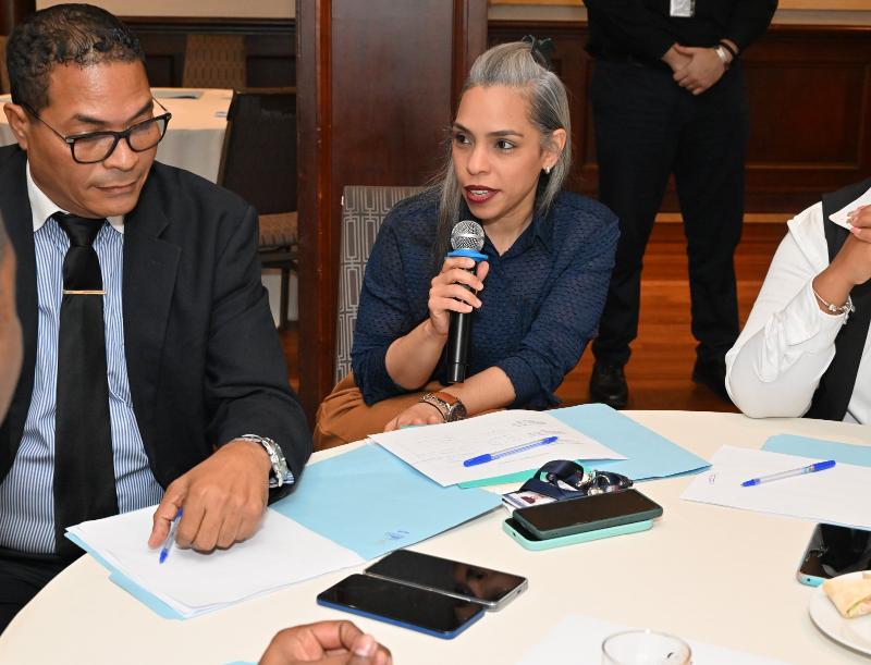 CONAPE en la 1ra. sección de consultas del Manual Metodológico para la Formulación del Plan Est. Ins