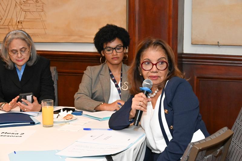 CONAPE en la 1ra. sección de consultas del Manual Metodológico para la Formulación del Plan Est. Ins