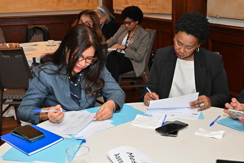 CONAPE en la 1ra. sección de consultas del Manual Metodológico para la Formulación del Plan Est. Ins
