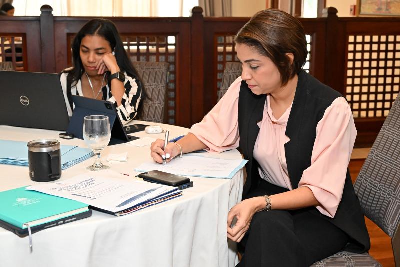 CONAPE en la 1ra. sección de consultas del Manual Metodológico para la Formulación del Plan Est. Ins